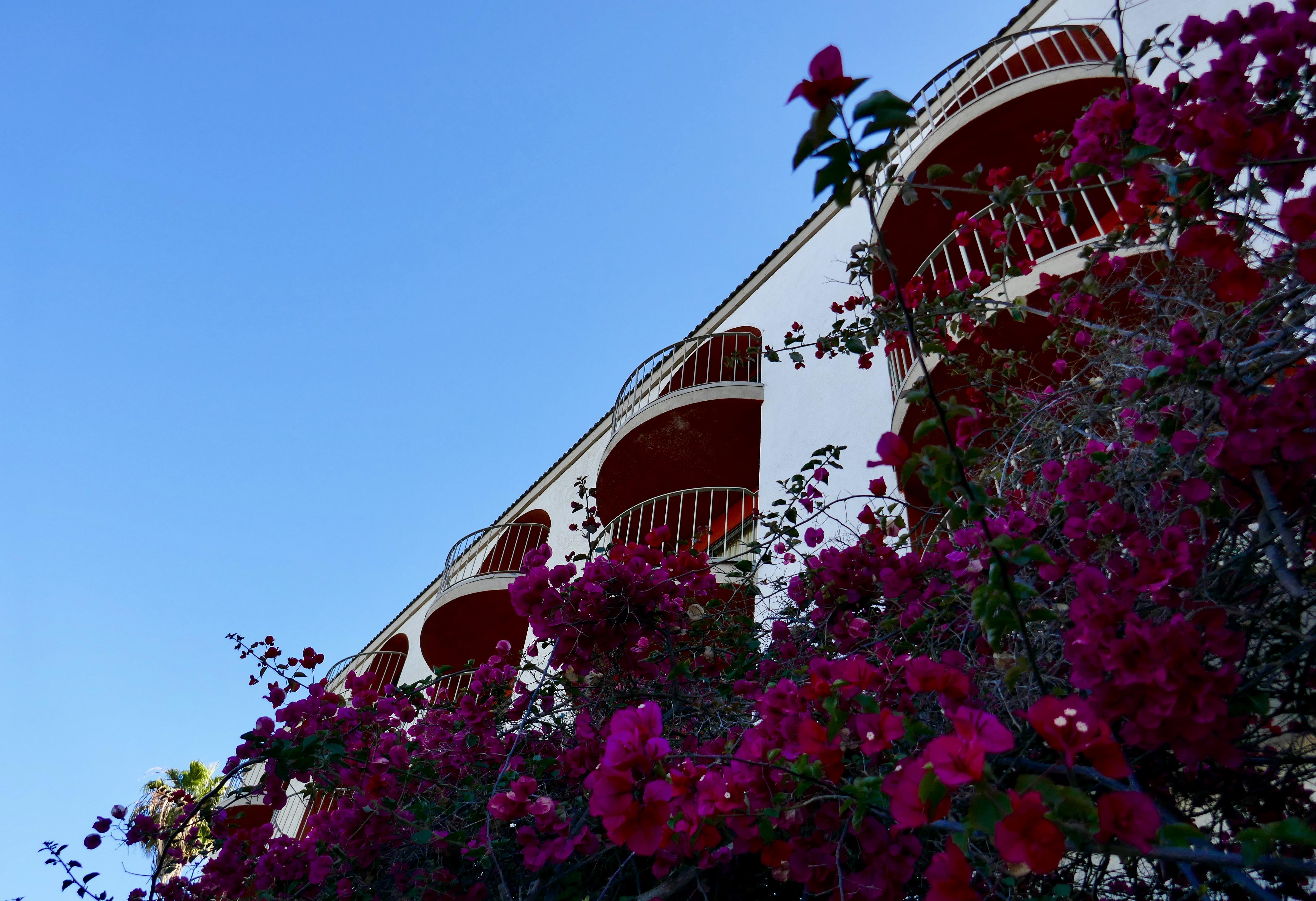 Best Western Golden Sails Hotel Long Beach Exterior photo