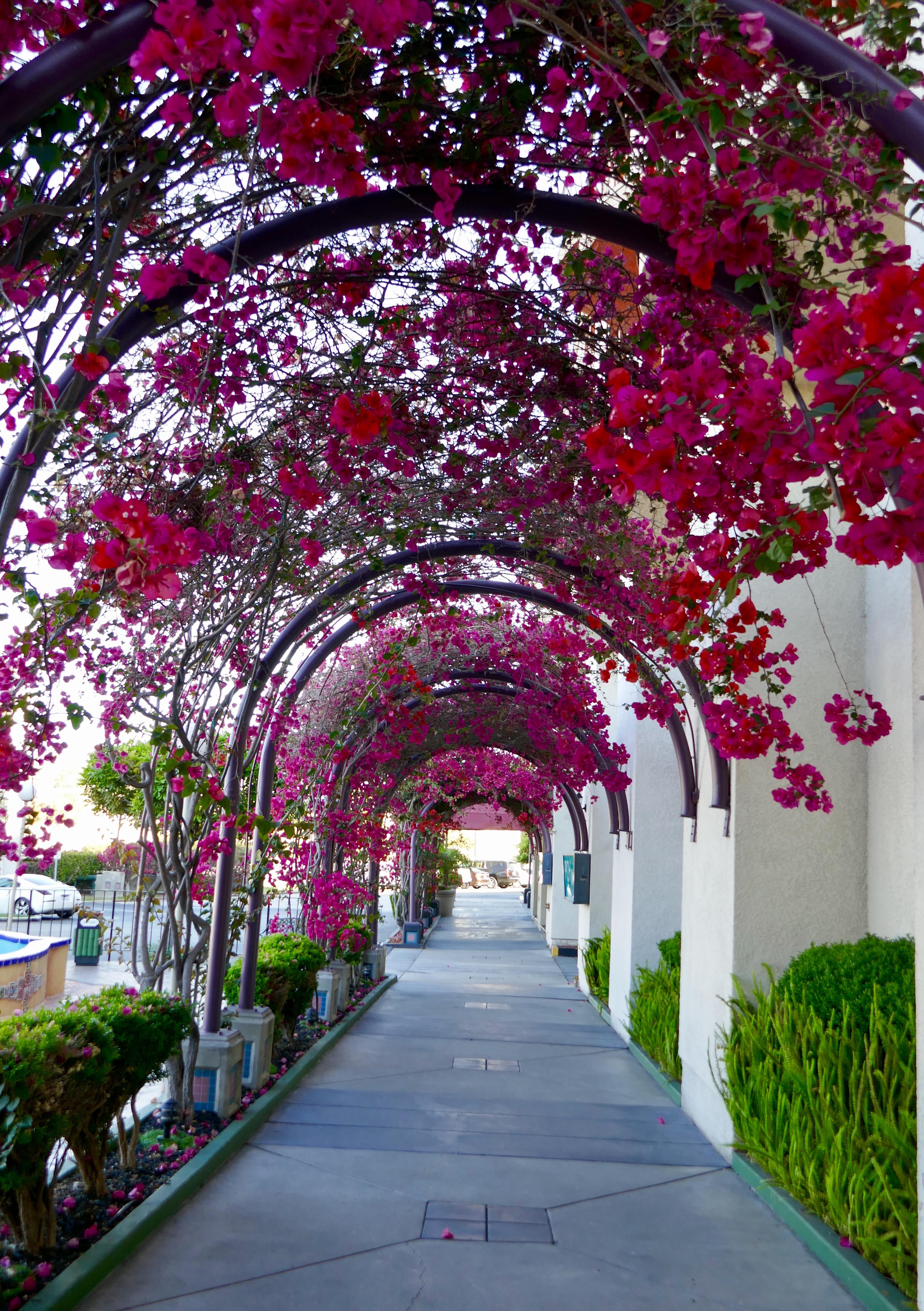 Best Western Golden Sails Hotel Long Beach Exterior photo